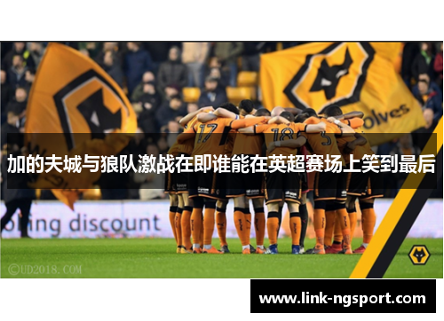 加的夫城与狼队激战在即谁能在英超赛场上笑到最后